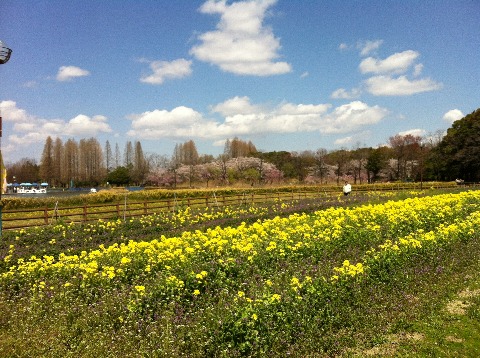 庄内緑地公園方面31km