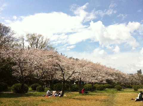 東山公園・平和公園21km