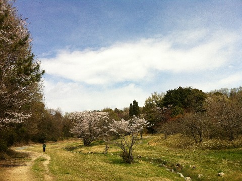 東山公園・平和公園21km