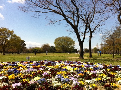 庄内緑地公園方面31km