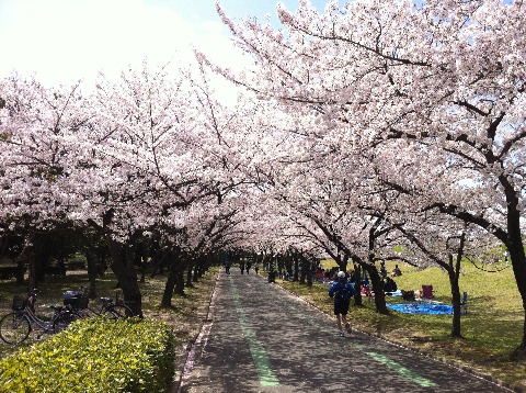 庄内緑地公園方面31km