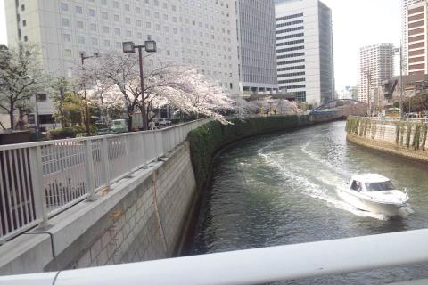 左岸の一番置くが当社です。