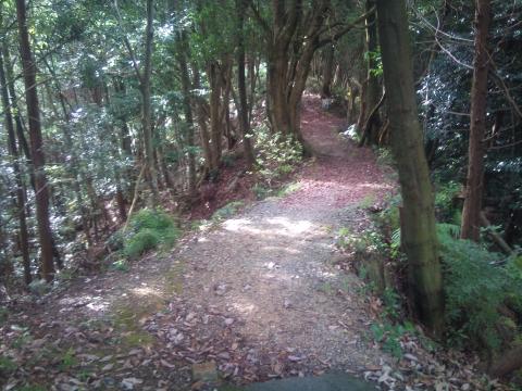 橋を渡るといきなり山道。実際はもっと暗い。