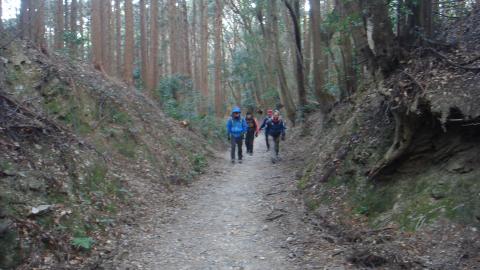 山道の様子。こんな感じでよく整備されている。