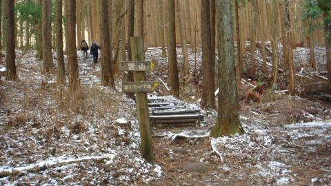 登山口。擬木の階段がずっとついている。