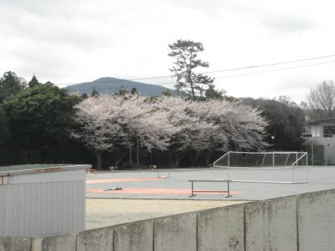 皇學館大学グラウンド（私が通った中学が当時間借りしていたグラウンド）