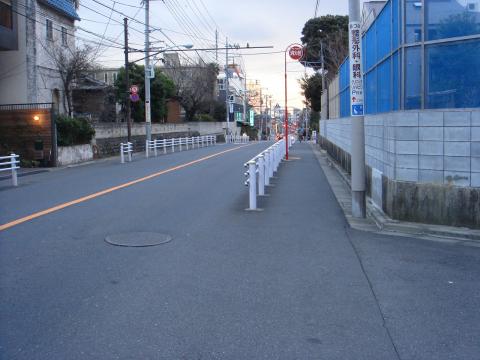 ここがスター地点？　しっぽの先だにゃん。