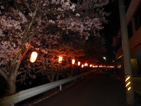 いつもは通らない対岸の道