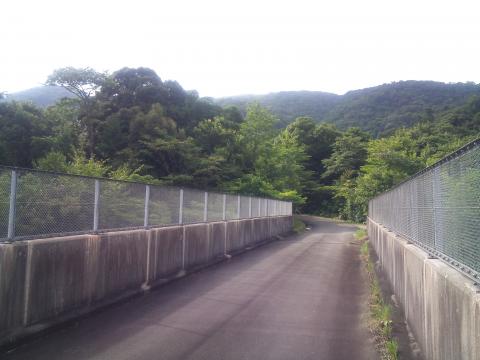 高速道路の上を通る橋。よく高速を走っていると細い橋を見かけるが、こういう感じなんだと思った。