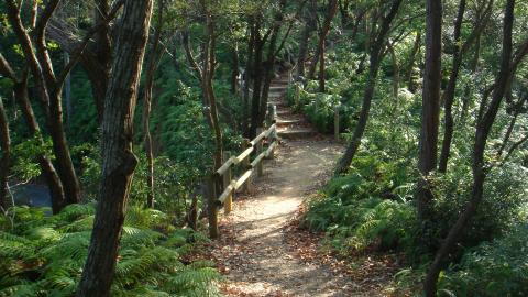 山道も手すりが付いていて安全。