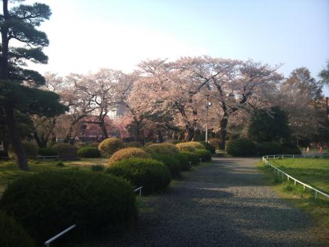 東北大学構内