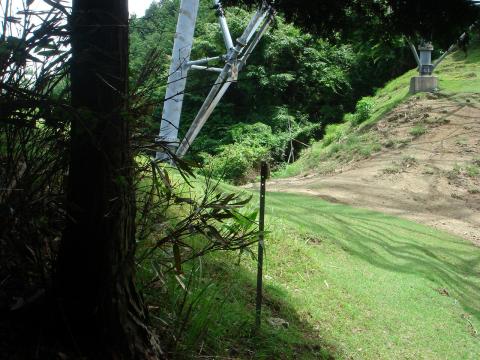 途中開けたところに出たらいきなり送電線の大きな鉄塔が立っていた。