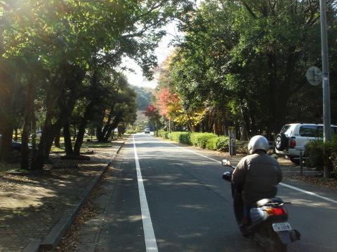 陸上競技場前の公道