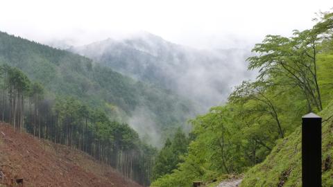 谷間の雲か霧か霞？