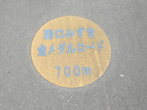 100ｍ毎にこのようなマークが付いている。