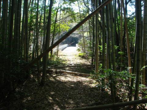 これが目指す、歩道橋。