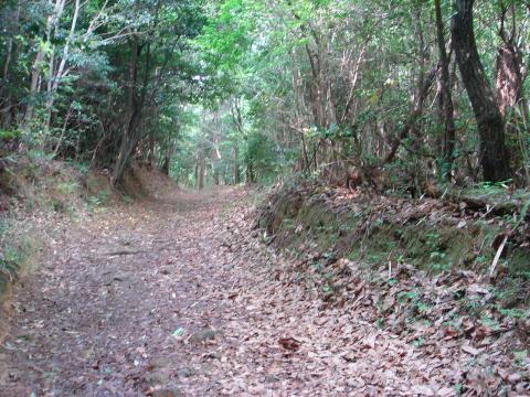 トレランによさそうな道