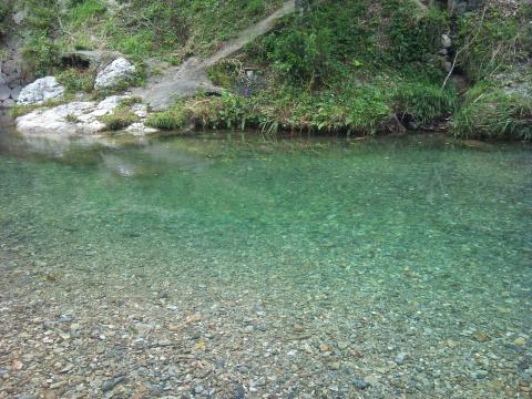 緑の濃いところが少し深い。ここが唯一泳げるくらいの深さがある。水は冷たい。たぶん22～23℃くらいだろう。