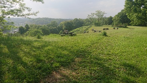 小山田緑地、見晴らし広場。