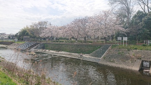 境川沿い、親水スポット。