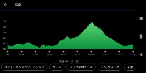 6キロから上りが始まり、8キロまで一旦フラットになったが、その後14キロまで延々上り。下りに転ずるとフィニッシュの競技場の直前まで川沿いに下り続ける。最後まで足が耐えられるか心配だった。