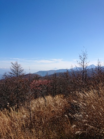 富士山の頭だけ。肉眼だともうちょっと大きく見える。