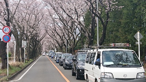 今日のメイン、海軍道路。