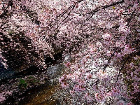 朝陽の加減もあり、迫力満点。