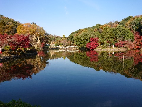 薬師池公園の定番スポット。