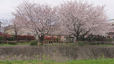 本日最後の一枚。満喫。