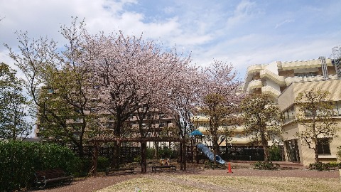 スタートのマンション敷地内。