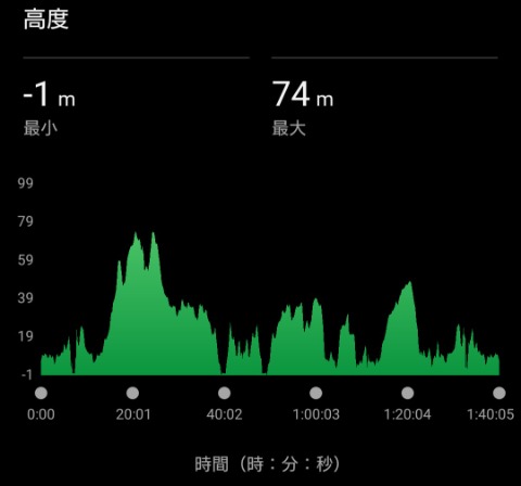 レースとは思えない高低差。