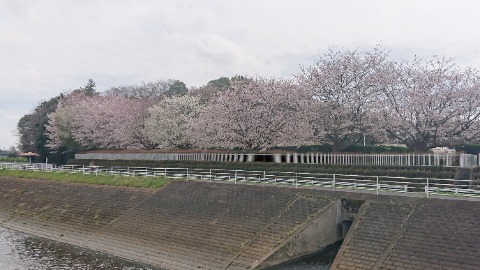 境川沿い、246号のすぐ南。