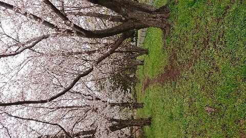 意外なところでいい感じ発見。