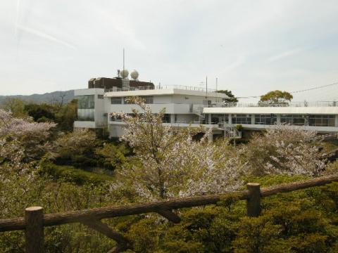 ゴール付近の風景。
桜は先週が身頃だったと思います。
しかし、山全体に桜の木があり、吉野の山のような雰囲気があります。