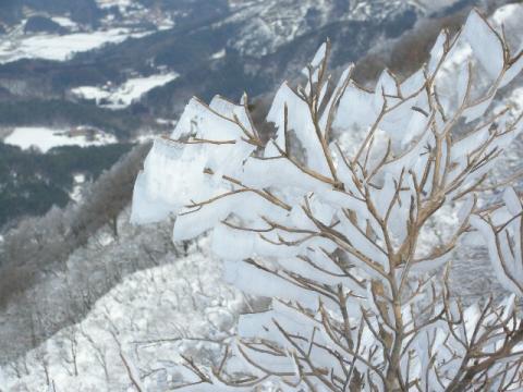 拡大するとこんな感じ。空気中の水分が凍結し木に付着しています。