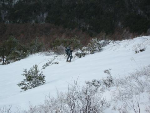 こんな急坂を登ります。