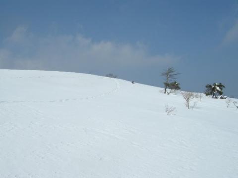 初日は「毛無山」へ登る。
山頂手前からの写真。スキー場のように広い山頂付近はほとんど木がありません。