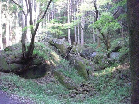 厳島神社からさらに奥に名草巨石群があります。写真ではその大きさが分かりにくいですね。