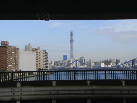隅田川大橋からスカイツリーが見えました、