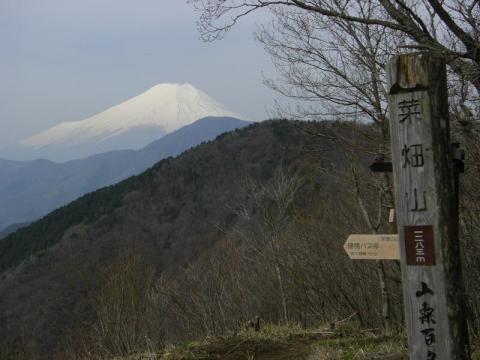 出発点から5キロ付近の菜畑山です。ここに来てようやく眺望が開け、富士山が姿を現しました。