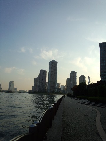 私の好きな景色！　永代橋の横にある、隅田川テラス(^^)