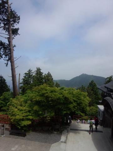 あの山の頂上から神社まで来ました！