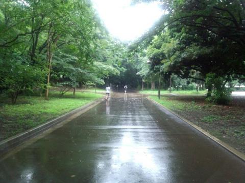 光が丘公園ジョギングコース。
こんな雨なのに、私以外にもそこそこの人が走ってるからびっくりです。