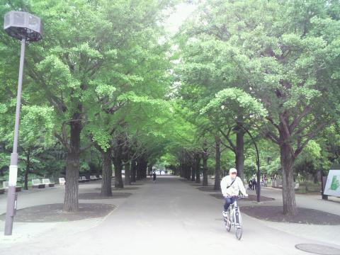 久しぶりに来ました、光が丘公園。
平日昼間にもかかわらず人は結構いました。
（写真は少ないですけど・・・）
公園の入口部分、ジョギングコースでもあります。