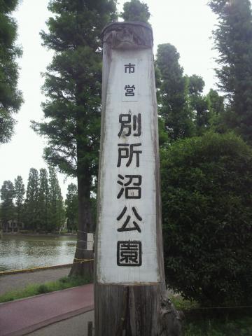 埼玉県にある「別所沼公園」
そんなに大きくない公園ですが、
１周900ｍのジョギングコースがあります。