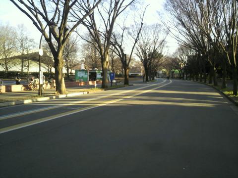平日だとあまり人も多くないので走り易いですね。
なんて言ってますが・・・。
休日の駒沢公園には来たことがありません。