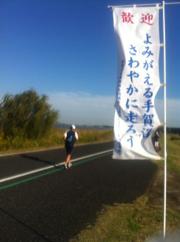 強風でポールが折れてる幟がが多々あって残念・・・
（写真の幟は大丈夫！）