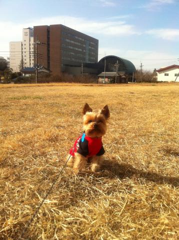 奥に見えるのが「中央学院大学」