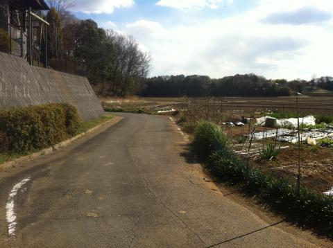 幹線道路をはずれるとのどかな道が出現します。
楽しくてニヤついて歩いてましたｗ